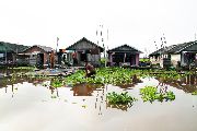 Foto: Cilts sievietes un saldūdens delfīnu meklējumi Borneo